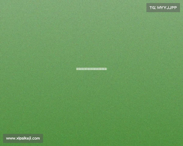 欧冠赞助商背后的商业战略与全球影响力分析