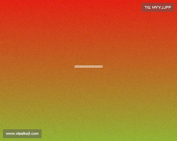 青训体系创新发展路径探讨与实践案例分析 青训体系创新发展路径探讨与实践案例分析