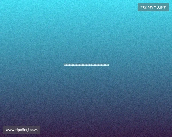 意媒报道圣西罗球场管理公司新规引发争议 禁止流动商贩售卖山寨球衣 意媒报道圣西罗球场管理公司新规引发争议 禁止流动商贩售卖山寨球衣