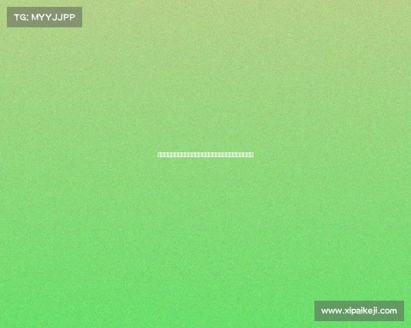 聚焦国字号球队发展路径与成就展望推动中国足球突破国际舞台 聚焦国字号球队发展路径与成就展望推动中国足球突破国际舞台