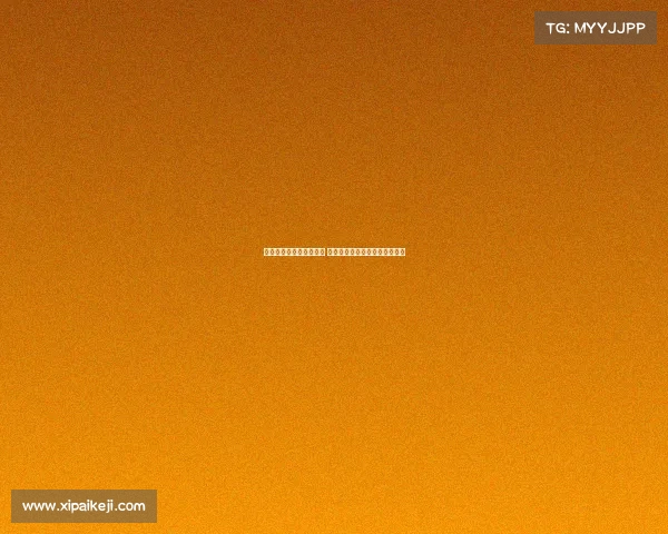 西甲联赛冬歇期安排揭晓 各队备战策略和休赛期动态分析 西甲联赛冬歇期安排揭晓 各队备战策略和休赛期动态分析