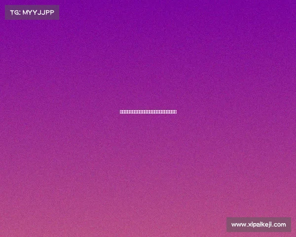 雷恩城市历史文化与现代发展的交融探索与未来展望