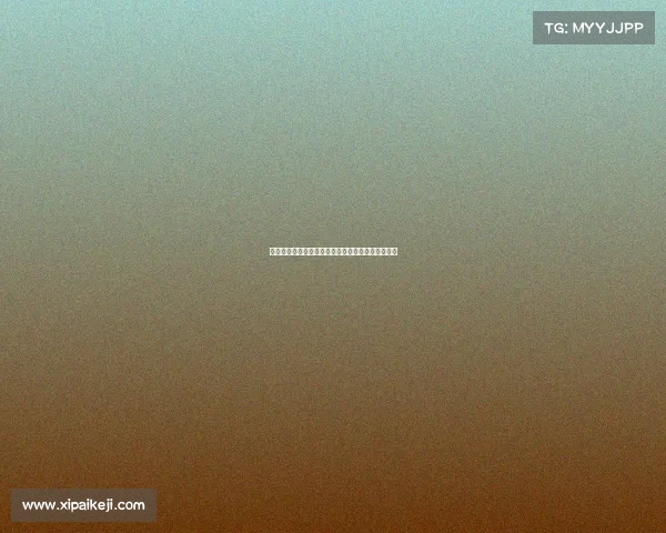 足球球员转会合同签署流程解析及注意事项全面指南 足球球员转会合同签署流程解析及注意事项全面指南