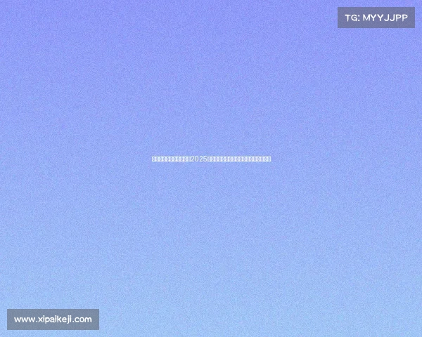 足球转会市场数据分析：2025年夏季转会窗口趋势与球员价值变化解析