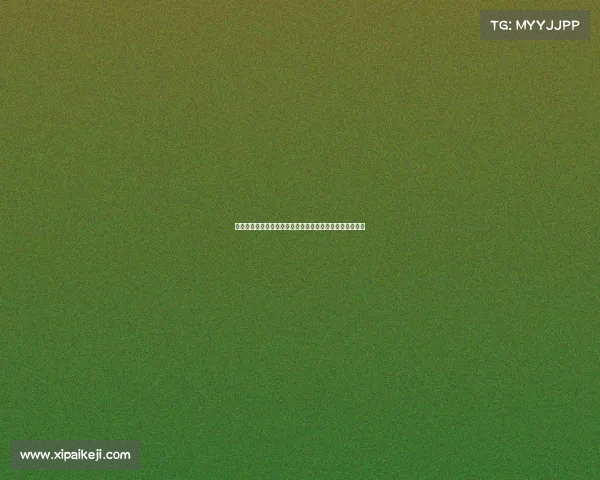 西甲历史点球成功率分析：顶级射手与球队的点球表现对比