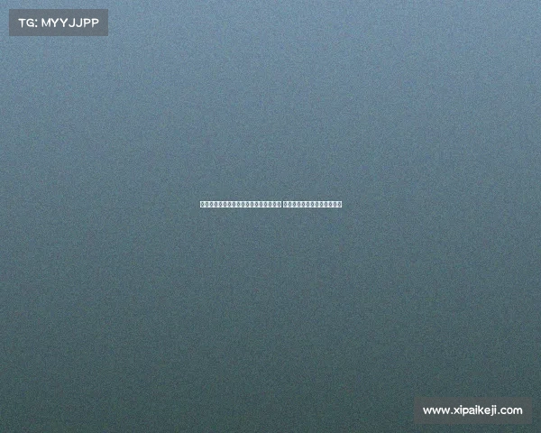 青浦区第五届社区乒乓球团体赛精彩落幕 促进邻里交流增强社区凝聚力