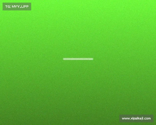 转会市场动态：球员流动、豪门布局与未来走势分析